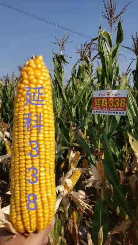 微信圖片_20191225105515.jpg 微信圖片_20191225105515.jpg