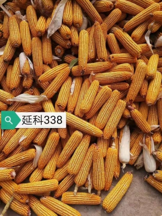 微信圖片_20191225105553(1)(1).jpg 微信圖片_20191225105553(1)(1).jpg