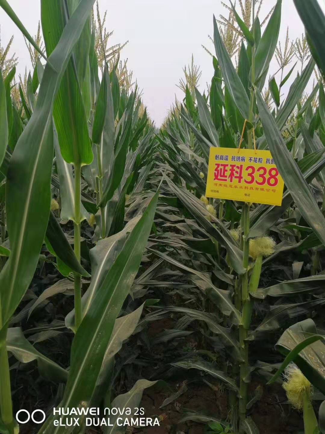 微信圖片_201912251055532.jpg 微信圖片_201912251055532.jpg