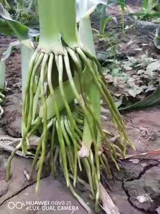 微信圖片_201912251633073.jpg 微信圖片_201912251633073.jpg