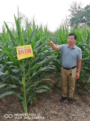 微信圖片_201912251633072(1)(1).jpg 微信圖片_201912251633072(1)(1).jpg