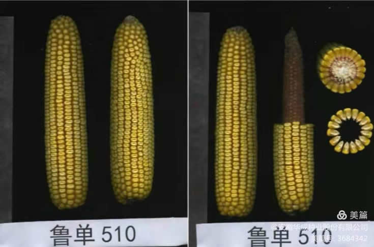 微信圖片_20201014102241.jpg 微信圖片_20201014102241.jpg