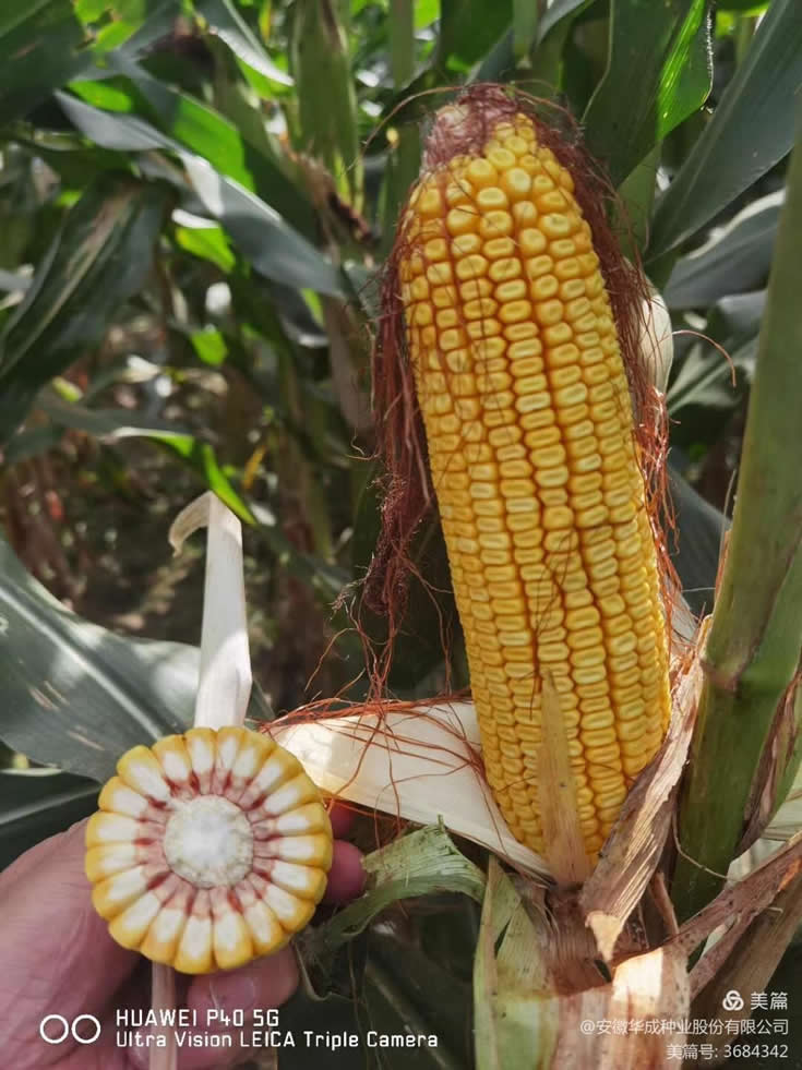 微信圖片_20201014102328.jpg 微信圖片_20201014102328.jpg